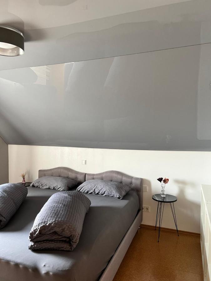 Lifestyle Apartment Sinsheim Exterior foto